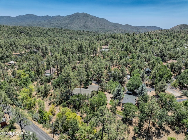 1570 W Pine Cone Way, Prescott, AZ 86303 - photo 39