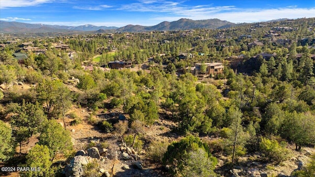 320 Skyline Dr, Prescott, AZ 86303 - photo 10