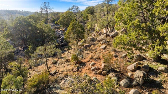 320 Skyline Dr, Prescott, AZ 86303 - photo 13
