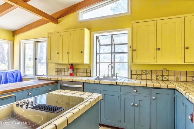 769 Cherokee Rd, Prescott, AZ 86303 - kitchen with tile counters, stainless steel dishwasher, and black electric stovetop