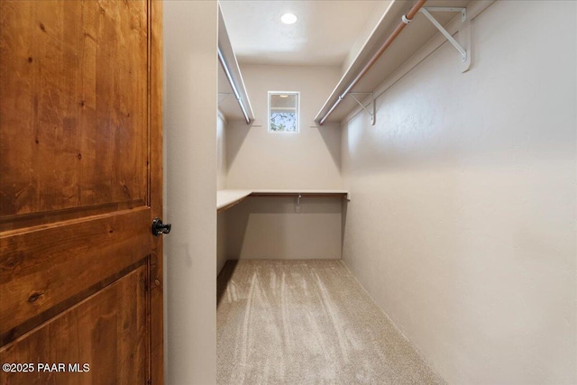 walk in closet featuring light colored carpet