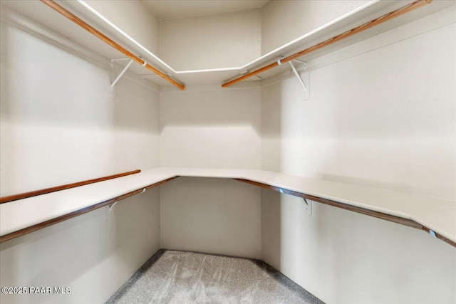 walk in closet with light colored carpet