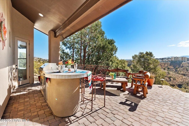 view of patio / terrace with a bar