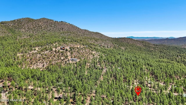5980 S Old Walker Rd, Prescott, AZ 86303 - view of mountain background featuring a forest