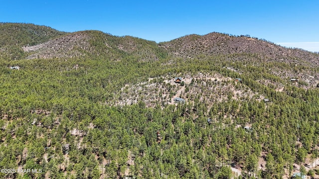 5980 S Old Walker Rd, Prescott, AZ 86303 - view of mountain background featuring a forest