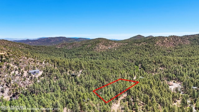 5980 S Old Walker Rd, Prescott, AZ 86303 - view of mountain backdrop featuring a heavily wooded area