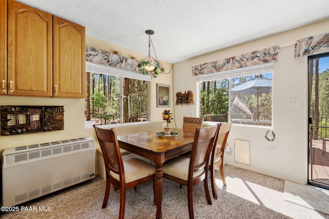 5980 S Old Walker Rd, Prescott, AZ 86303 - dining room with heating unit, light colored carpet, and a textured ceiling