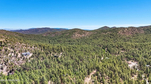 5980 S Old Walker Rd, Prescott, AZ 86303 - mountain view with a forest
