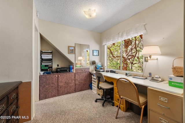 5980 S Old Walker Rd, Prescott, AZ 86303 - office area featuring carpet flooring and a textured ceiling