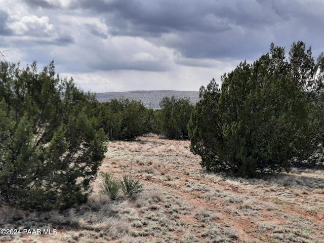 53810 N Mesa Dr, Seligman AZ, 86337 land for sale