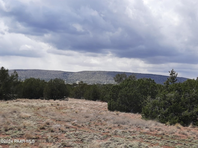 53810 N Mesa Dr, Seligman, AZ 86337 - photo 2