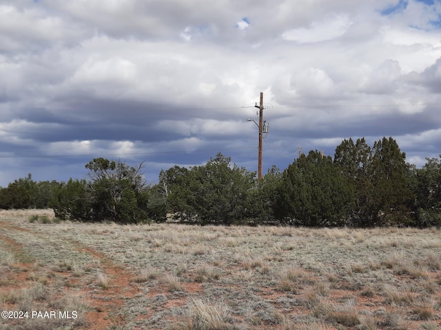 53810 N Mesa Dr, Seligman, AZ 86337 - photo 5