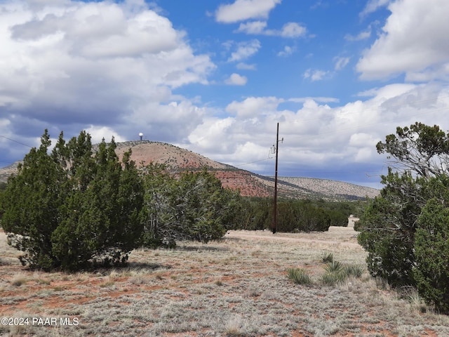 53810 N Mesa Dr, Seligman, AZ 86337 - photo 3