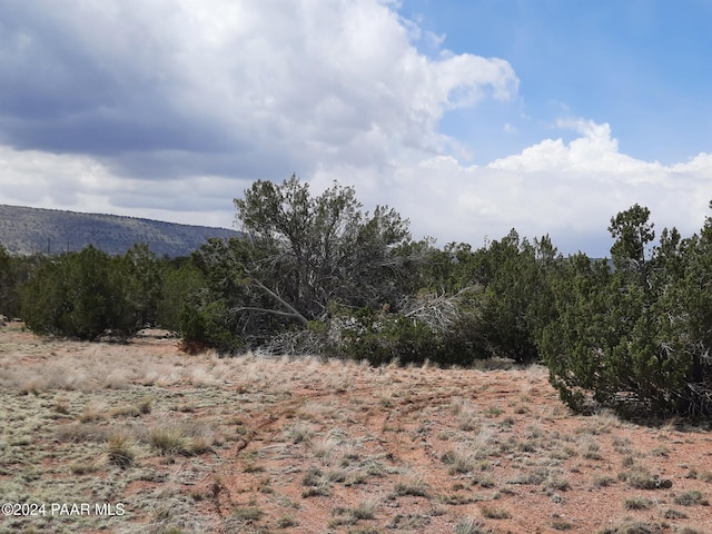 53810 N Mesa Dr, Seligman, AZ 86337 - photo 4