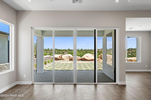 entryway featuring hardwood / wood-style floors