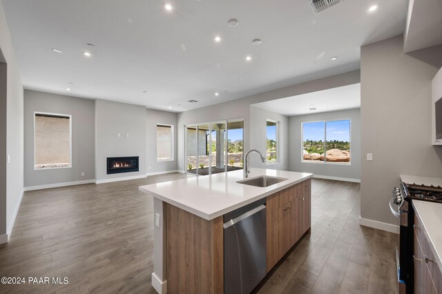 kitchen featuring dark hardwood / wood-style floors, sink, stainless steel appliances, and a center island with sink