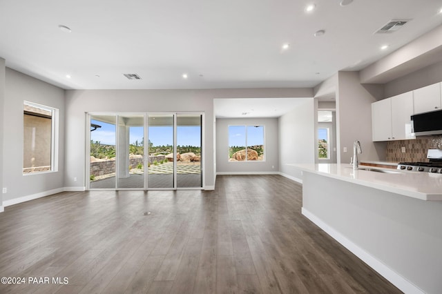 interior space with dark hardwood / wood-style flooring, plenty of natural light, and sink