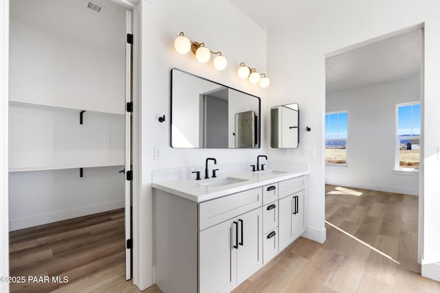 bathroom featuring hardwood / wood-style flooring and vanity