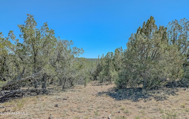 Listing photo 3 for 51860 N Ajo Rd, Seligman AZ 86337