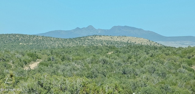 51860 N Ajo Rd, Seligman AZ, 86337 land for sale