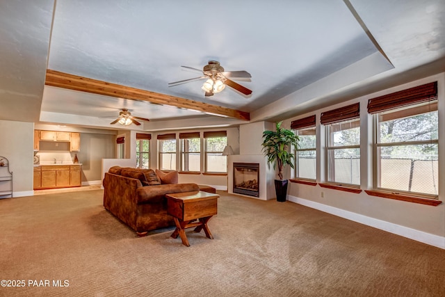 carpeted living room featuring a raised ceiling, plenty of natural light, ceiling fan, and beam ceiling