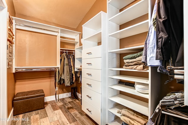 walk in closet featuring hardwood / wood-style floors