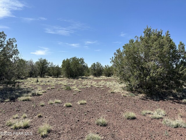 435 Inez Dr, Williams, AZ 86046 - photo 3