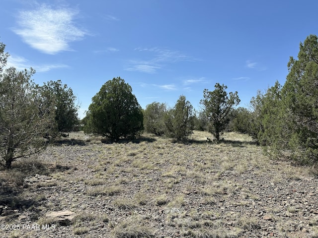 435 Inez Dr, Williams, AZ 86046 - photo 6