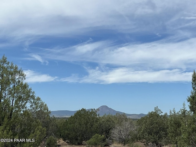 3963 W Gerry Ln, Ash Fork, AZ 86320 - photo 5