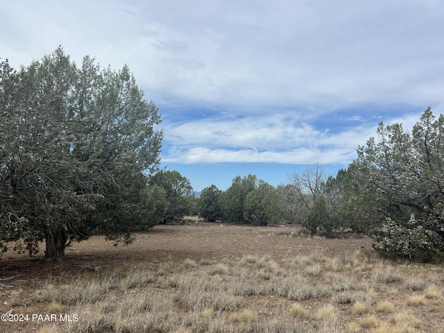 3963 W Gerry Ln, Ash Fork, AZ 86320 - photo 2