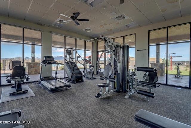 5306 Rocky Vista Dr, Prescott, AZ 86301 - gym with ceiling fan, a paneled ceiling, healthy amount of natural light, and carpet floors