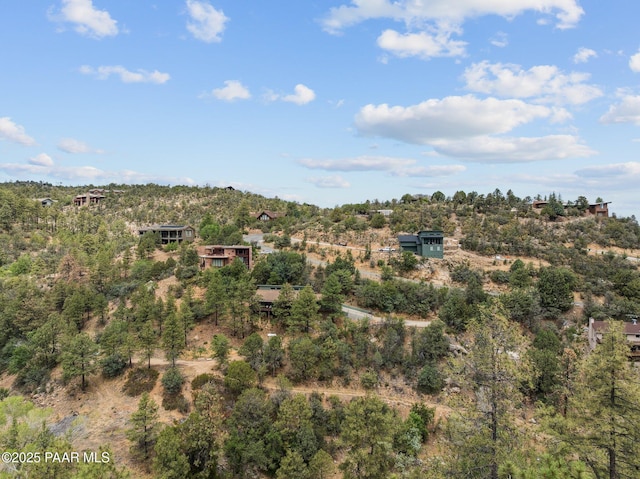 2162 Lessig Cir, Prescott, AZ 86303 - photo 29