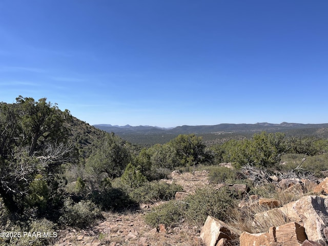 property view of mountains