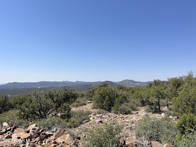 view of mountain feature