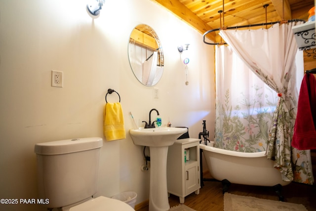 bathroom featuring hardwood / wood-style floors, wooden ceiling, and toilet