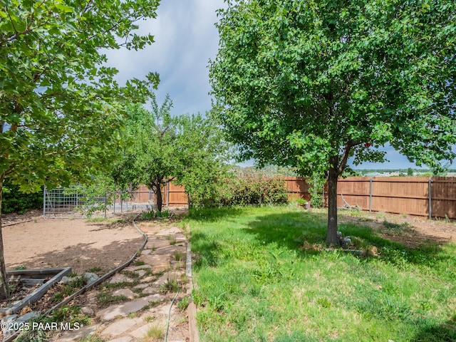 5700 N Concho Dr, Prescott Valley, AZ 86314 - view of yard
