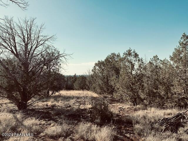 00 Terry Ln, Ash Fork, AZ 86046 - photo 40