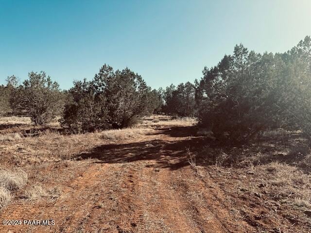 00 Terry Ln, Ash Fork, AZ 86046 - photo 5