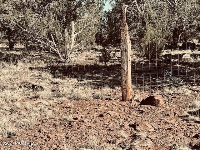 00 Terry Ln, Ash Fork, AZ 86046 - photo 41
