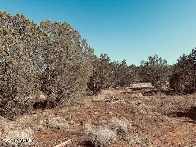00 Terry Ln, Ash Fork, AZ 86046 - photo 6