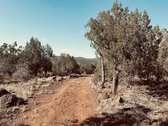 00 Terry Ln, Ash Fork, AZ 86046 - photo 8
