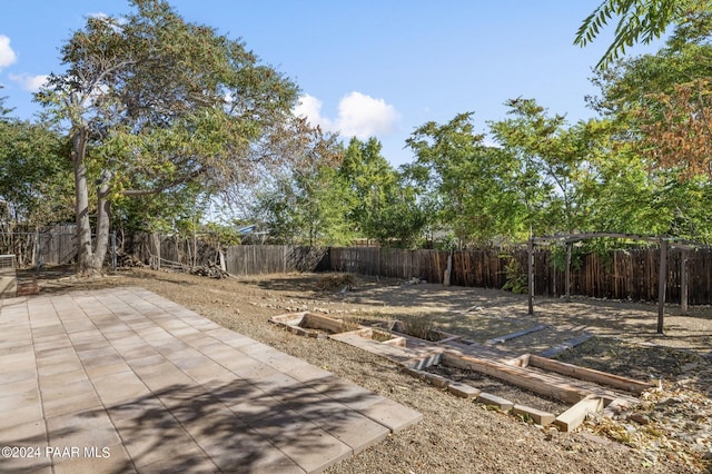 view of yard with a patio