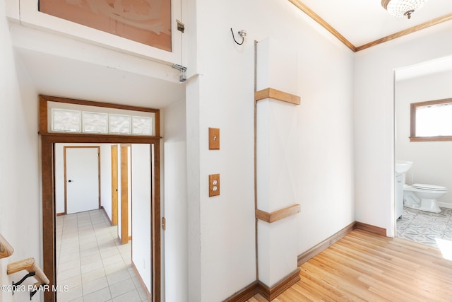 hall featuring crown molding and light wood-type flooring