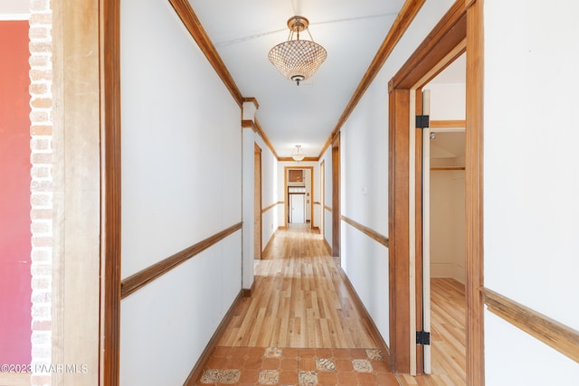 corridor with light hardwood / wood-style floors and ornamental molding