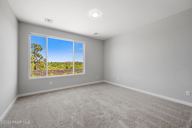 view of carpeted empty room