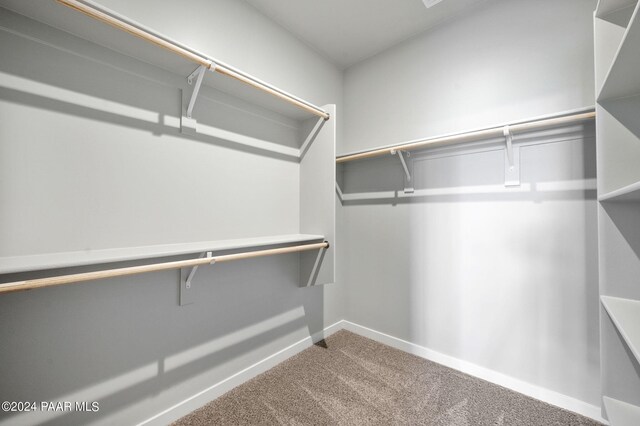 walk in closet with carpet flooring