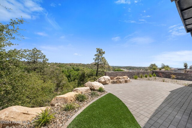 view of yard with a patio