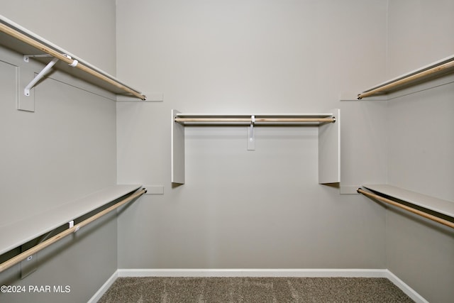 spacious closet featuring carpet floors