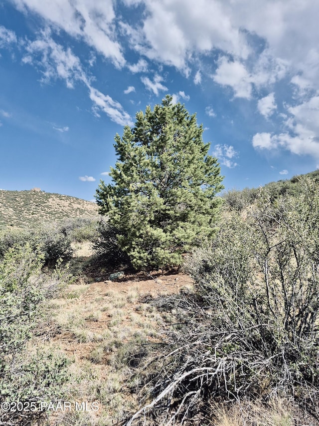11425 E Mingus Vista Dr, Prescott Valley, AZ 86315 - photo 5