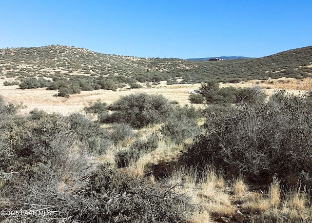 11425 E Mingus Vista Dr, Prescott Valley, AZ 86315 - photo 8